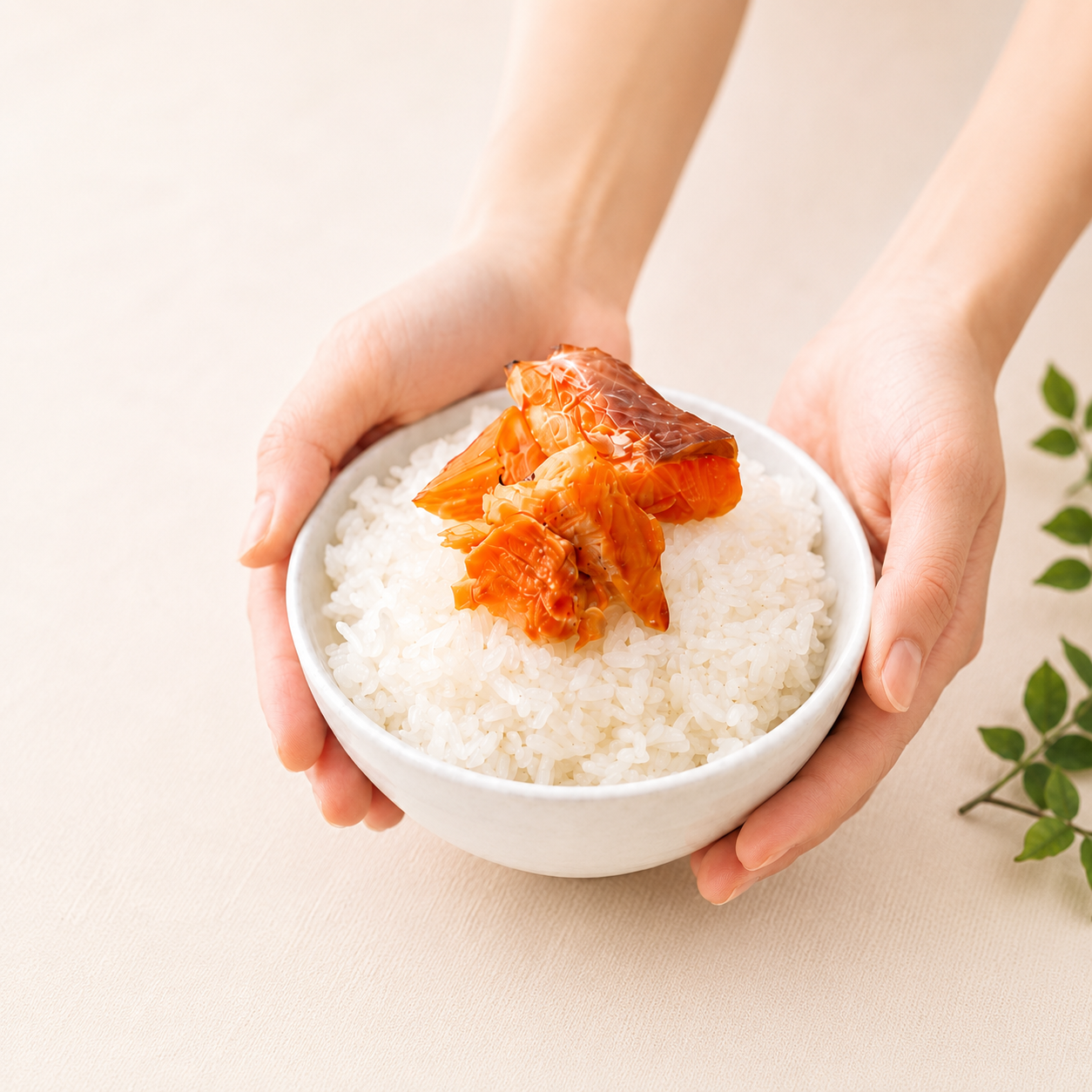 ほぐしみニ膳 自宅用4袋セット